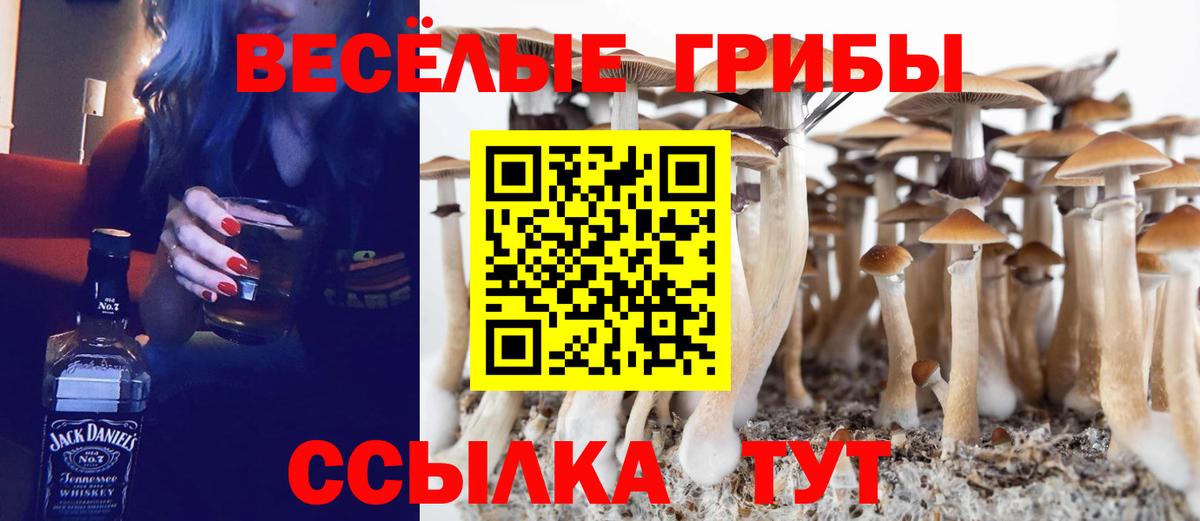 Улан-Удэ  Псилоцибиновые грибы Psilocybine cubensis  Вход с VPN 